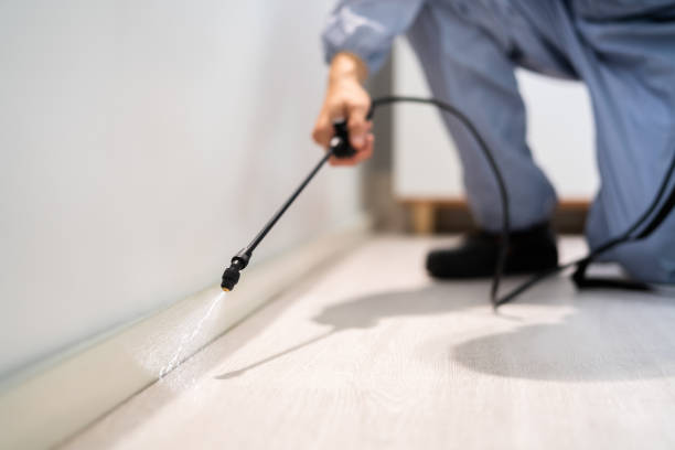 Licensed Termite Control service in Old Fig Garden, CA - Show Me Pest Control