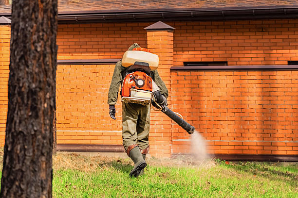 Bed Bug Clearance Verification and Documentation in Old Fig Garden